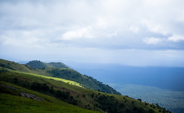 带动作用不 带动作用不