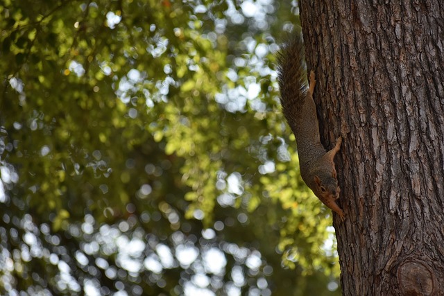 还源自维金 还源自维金