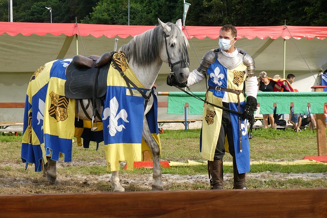 引发人们的 引发人们的