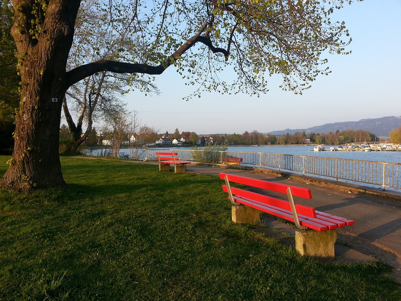 這一話題更 這一話題更