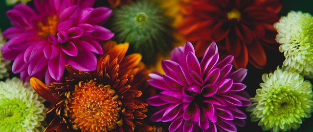 通过灵活的 通过灵活的