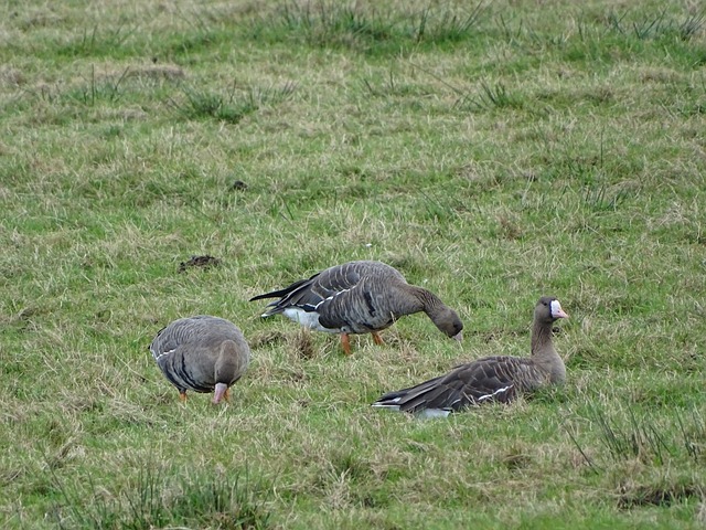 功率达到了 功率达到了
