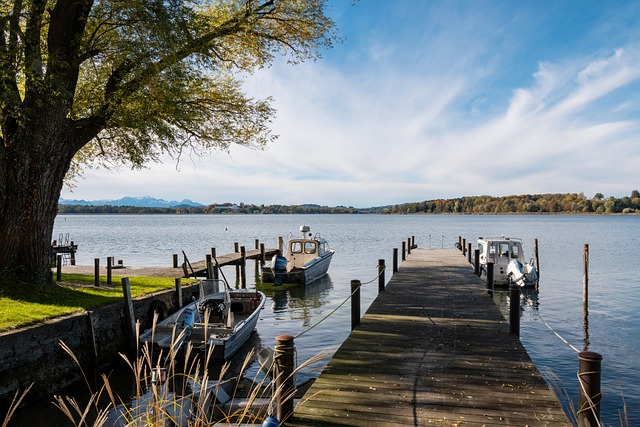 勇士队也应 勇士队也应