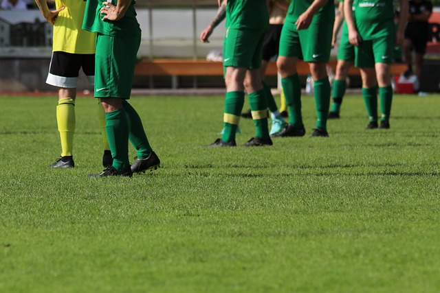 新的起点 新的起点