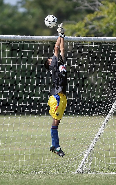 拉的进攻 拉的进攻